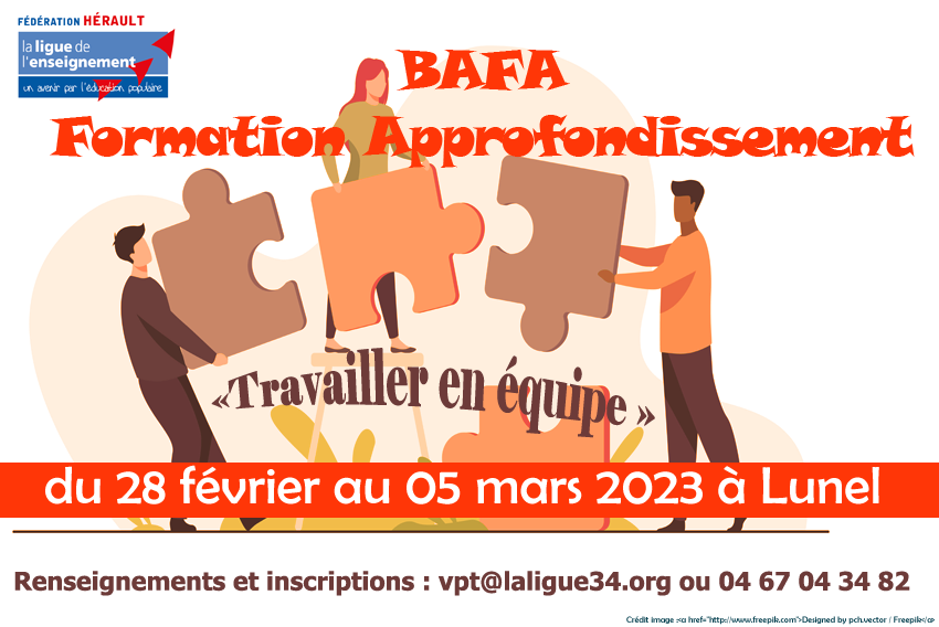 bafa_app_02_03_2023